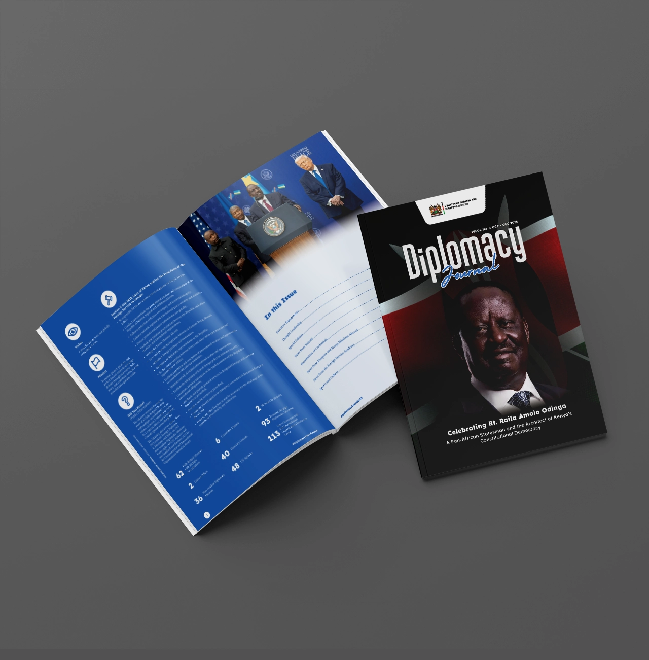 Diplomacy Journal Design