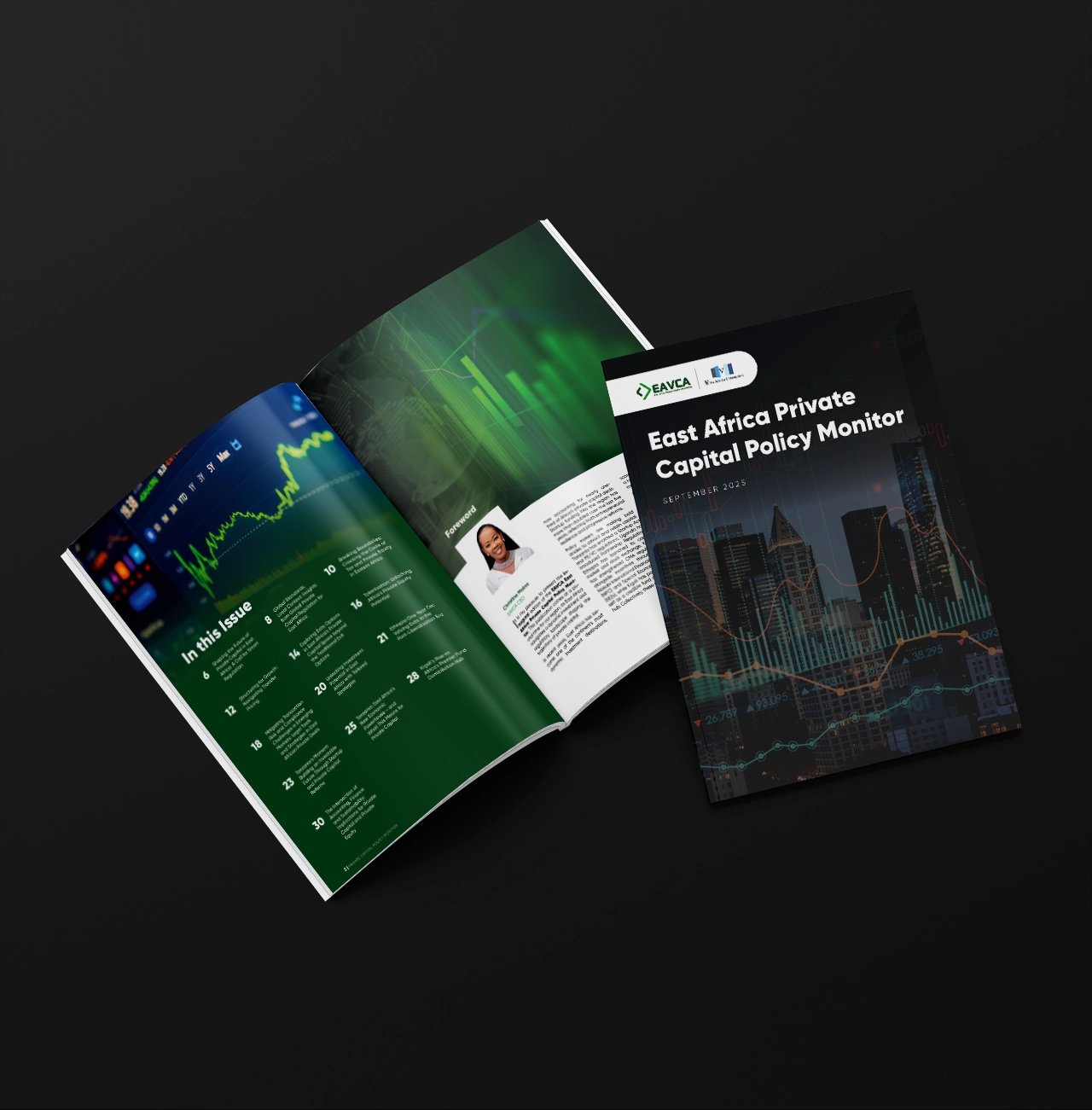 EAVCA Policy Monitor Journal